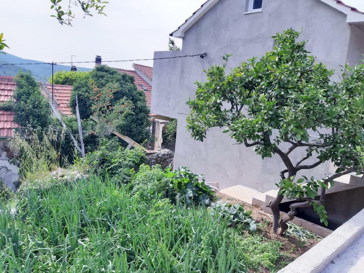 Kuca Za Odmor Dobrila Hotell Jelsa  Exteriör bild