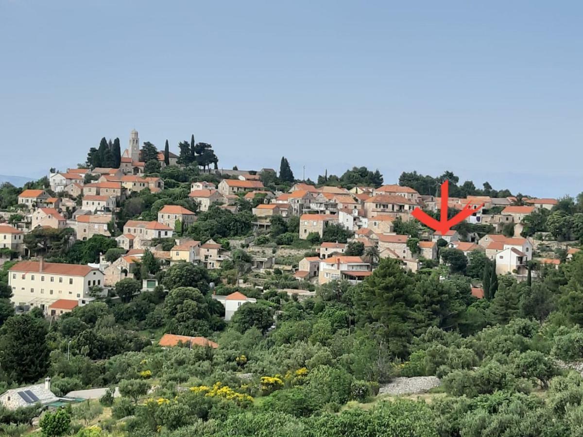 Kuca Za Odmor Dobrila Hotell Jelsa  Exteriör bild
